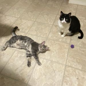 Meet your Posher, Caissey